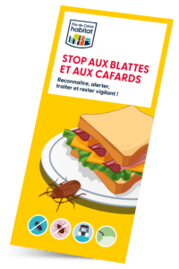 Stop aux blattes et aux cafards