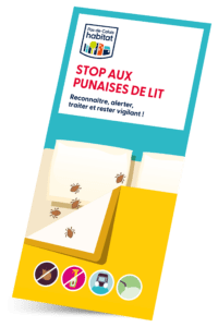 Stop aux punaises de lit